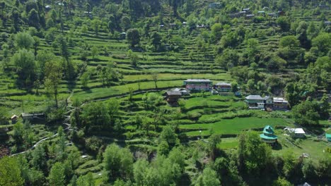 aerial view short of jibhi himachal pradesh in india. houses and trees in the mountainous area. faguli festival is one of the biggest festival in jibhi. the traditional houses here have stone roofs.
