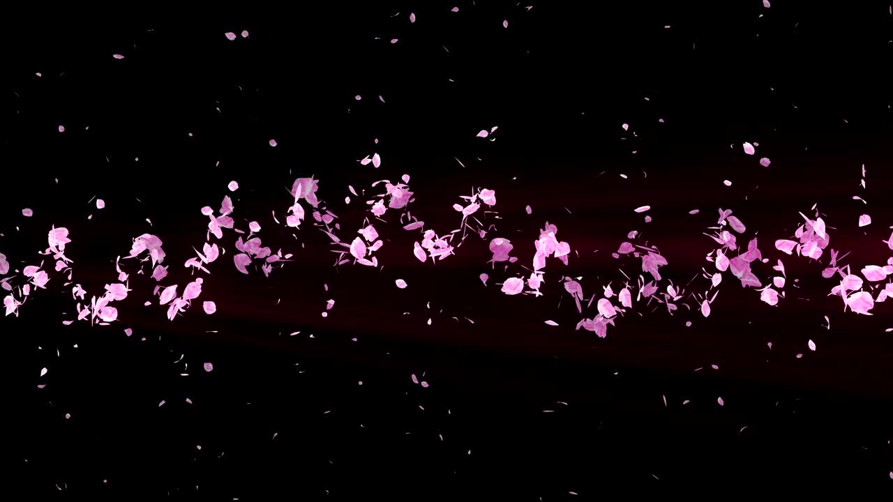 꽃의 나선형 반이는 입자, 사쿠라 패턴, 일본의 꽃 춤, 분홍색 꽃잎의 소용돌이, 추상적인 루프 애니메이션.