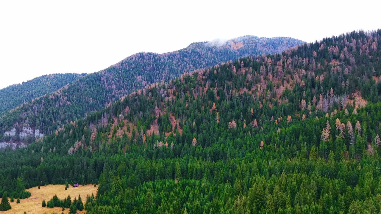 Vibrant view of forested mountain slopes displaying a mix of green and autumnal tones, creating a rich and natural landscape under a bright sky