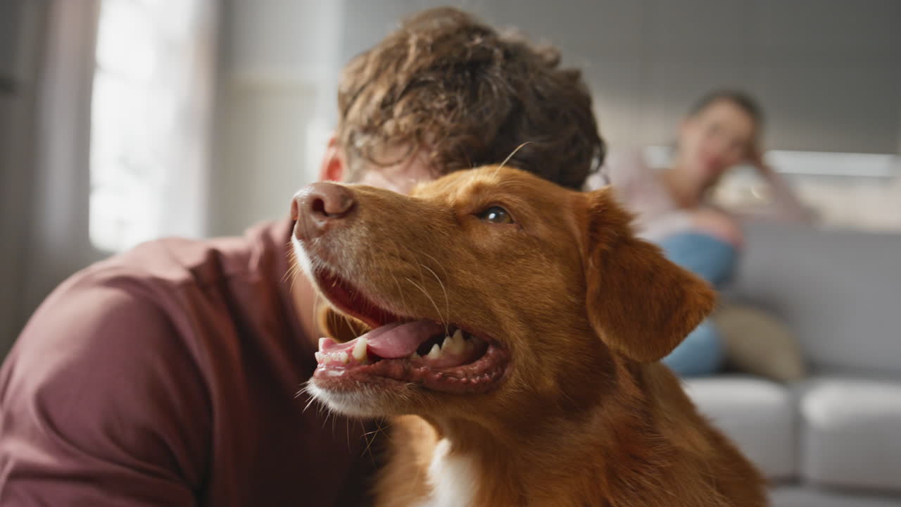 Dog enjoy owner caress in apartment close up. Woman looking on man stroking pet