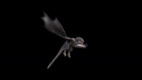 realistic dragon flying next to camera on black background