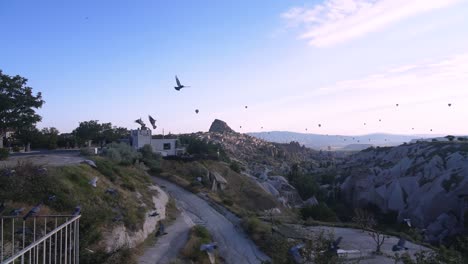 flock of birds flying with hot air balloons over the beautiful rock formations in goreme, cappadocia, turkey - wide shot