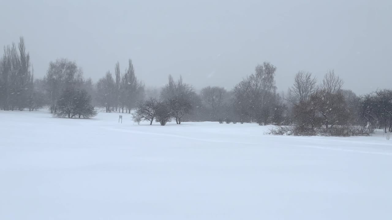 Heavy snowfall blocked all roads in the park