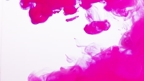 pink paint or dye dropped into water against white background to create swirling colourful smoke background 3