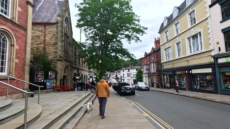 man walking dog along a busy street