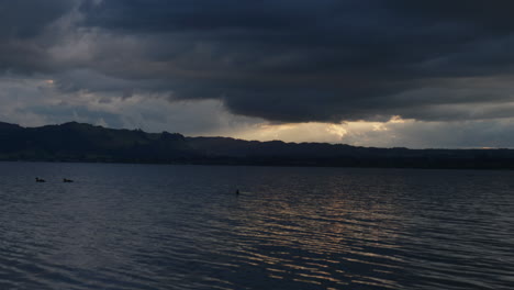 ducks on lake rotorua with sun beaming through clouds