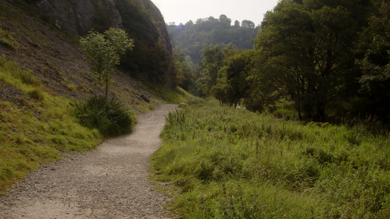 mirando hacia arriba el paseo de cola de paloma con las laderas del bosque en el fondo