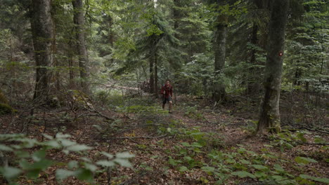 Cámara-Que-Sube-Desde-Detrás-De-Una-Roca-Para-Revelar-A-Un-Excursionista-Caminando-En-El-Bosque-Por-Un-Camino-Marcado-Con-La-Marca-Knafelc