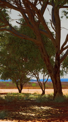 paisaje del interior de australia