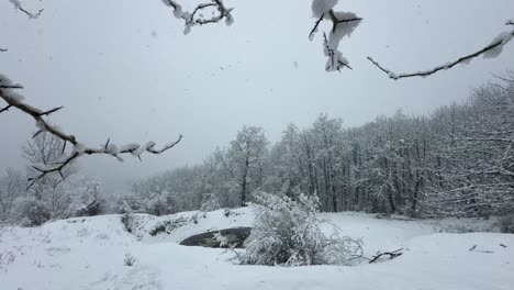 Fuertes-Nevadas-En-La-Rama-De-Un-árbol,-Paisaje-De-Bosque-Nevado-En-La-Escena,-El-Maravilloso-Mirador-Escénico-De-Nevadas-En-El-Bosque-De-Hircanian-En-Invierno,-La-Vida-Rural-De-La-Aldea,-La-Gente-Local,-El-Campo,-La-Hospitalidad-Para-El-Viajero.