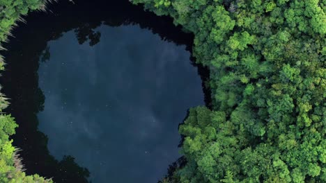 aerial shot with a drone, spiraling upwards in los tres ojos cave in mirador del este park, santo domingo este, dominican republic, where we see the great vegetation