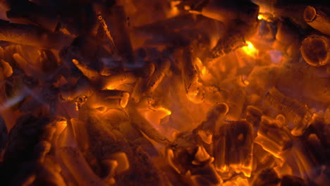 wood embers in campfire or fireplace