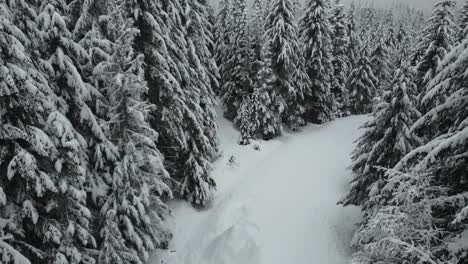 Motion-over-fresh-pure-snow-covering-beautiful-tranquil-landscape,-aerial