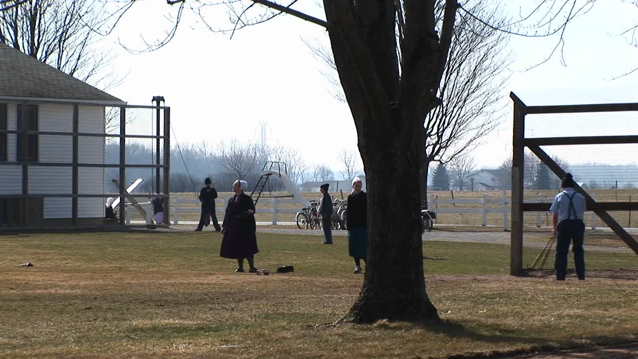 한 무리의 아미쉬 소년 소녀들이 가을에 야외에서 야구를 하고 있다