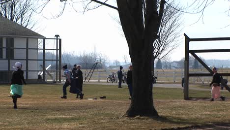 a group of amish boys and girls are playing baseball outdoors in the fall