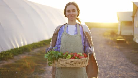 Happy-farmer-showing-basket-with-fresh-harvested-vegetables,-sunlight-on-background