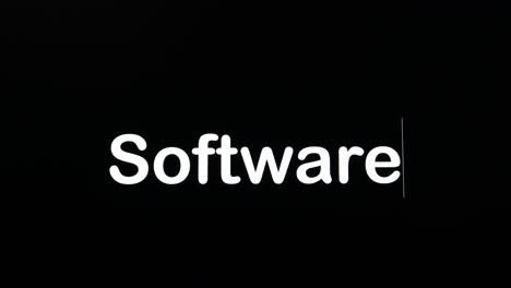 digitare sullo schermo con un paragrafo lampeggiante che forma la parola software, in bianco su uno sfondo nero