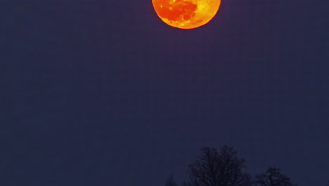 timelapse of the moon in a crimson hue ascending towards the sky from the ground