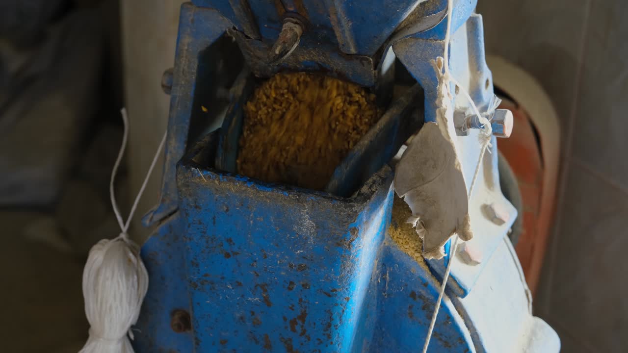 밀알은 밀가루 공장에서  불구르로 만들어집니다.