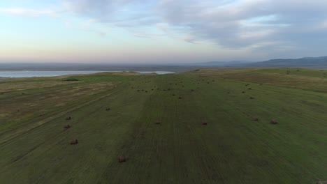 Vista-Aérea-De-La-Estepa-Otoñal