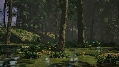 misty forest landscape with greenery and water reflections in the morning light