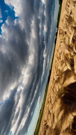 golden wheat field under a stormy sky