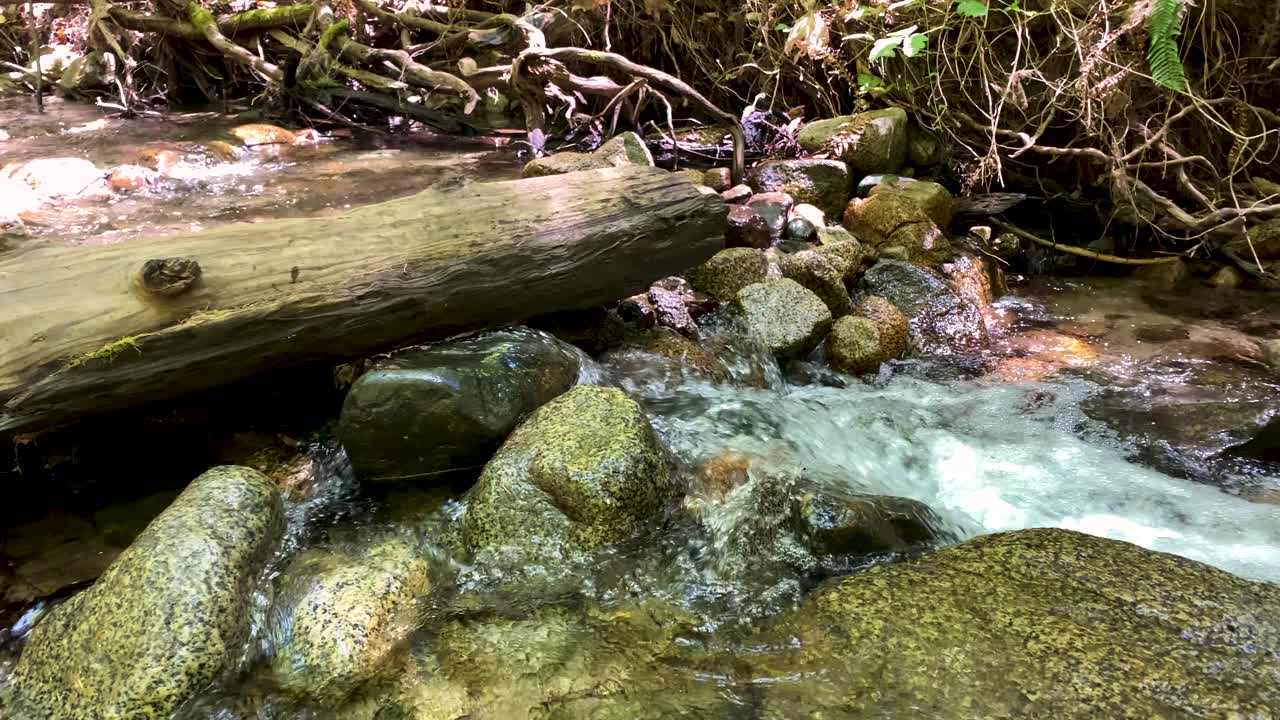 toma amplia de un tronco a través de un arroyo de montaña, la cámara gira lentamente hacia la derecha, revelando una cascada y un arroyo que fluye sobre las rocas del río y el agua clara del arroyo con guijarros visibles en primer plano