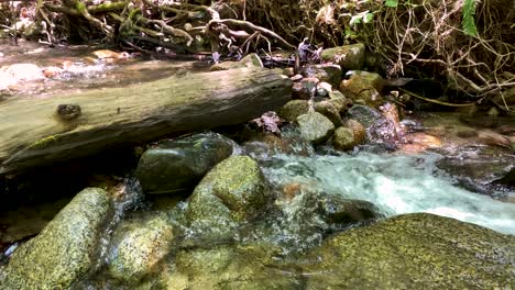 wide shot of log across mountain stream, camera slowly pans right revealing waterfall and flowing stream over river rocks and clear creek water with pebbles visible in foreground