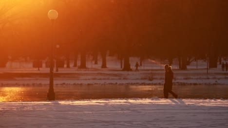 family walking in park against a background of warm light