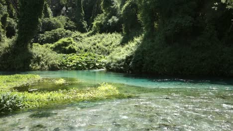clear water and forest in blue eye nature monument near to saranda, albania