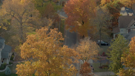 Aerial-over-pretty-neighborhood-in-Kirkwood-in-St