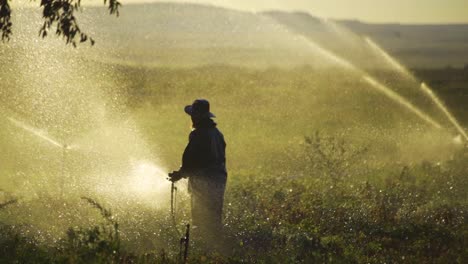 en cámara lenta, silueta de un agricultor caminando por un campo irrigado.