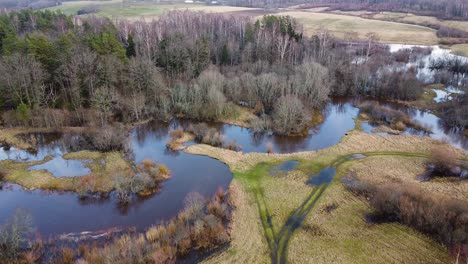 aerial view of scenic landscape of vast flooded sventaja river and coast line bushes in overcast spring day, wide angle drone shot moving forward