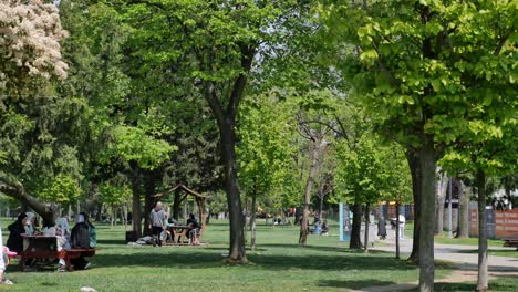 park scene with people