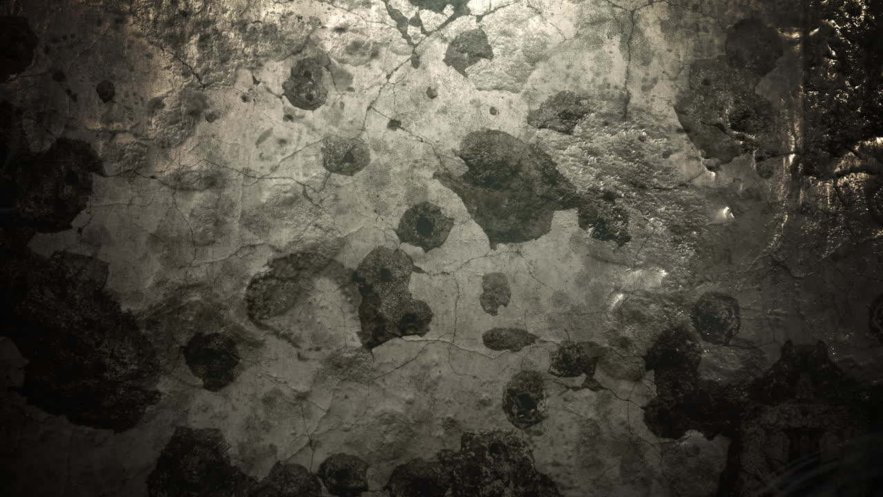 partículas de movimiento y mosca en el fondo cinematográfico con textura grunge 2