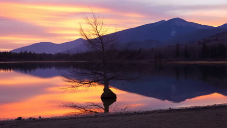 vibrant sunset reflection on a lake with mountains and a silhouetted tree