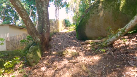 sendero en el bosque entre grandes piedras y árboles de mango
