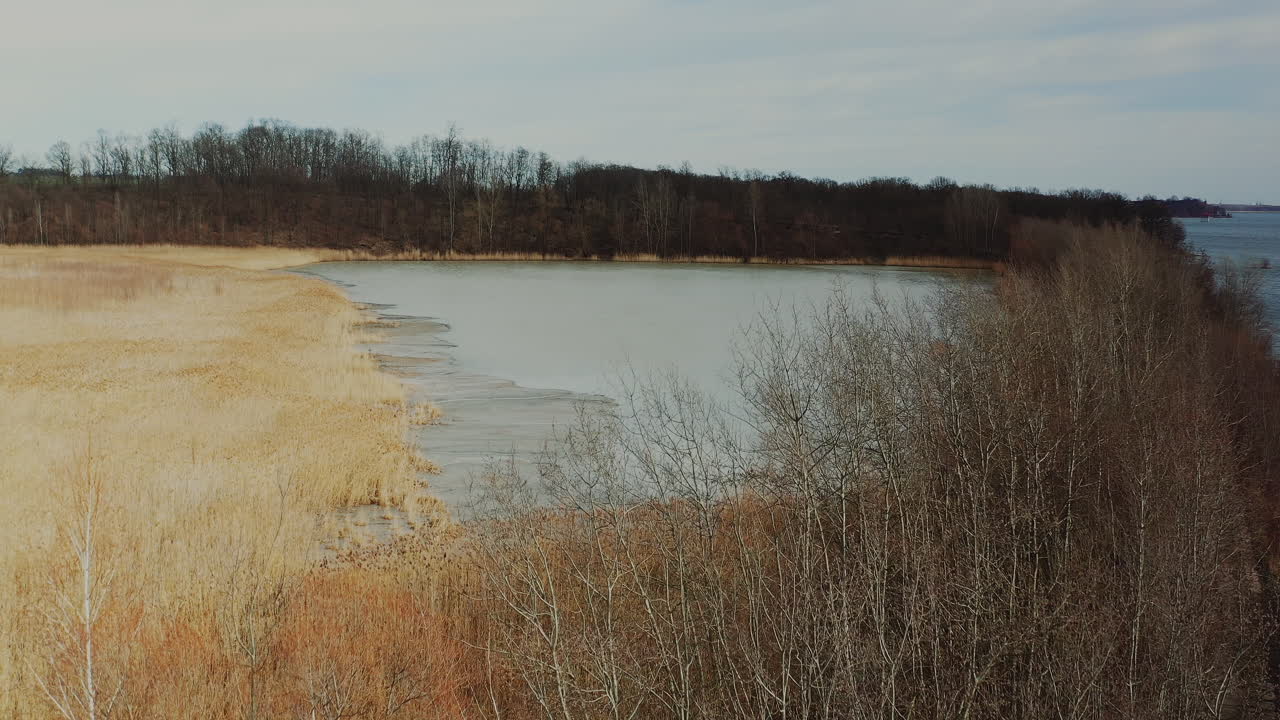 Luftfoto af birkeskov og frossen sø.