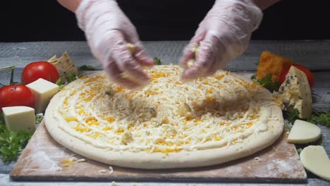 preparing a pizza with cheese and sauce