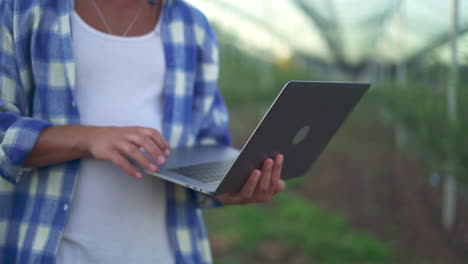 person using a laptop in an agricultural field