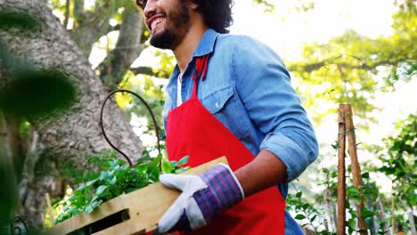 jardinero llevando plantas en una caja