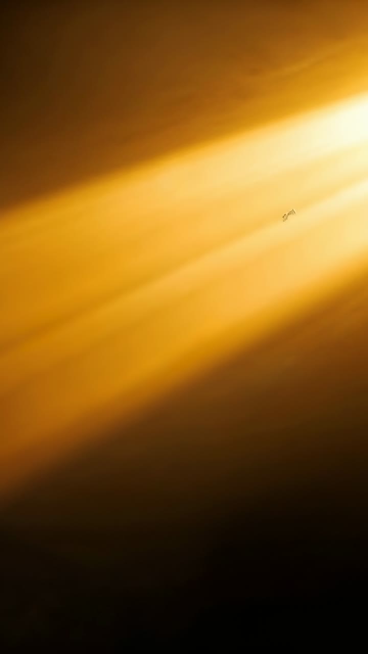 Vertical video: Light source sending gold beam through dark room showing warm streaks and speck