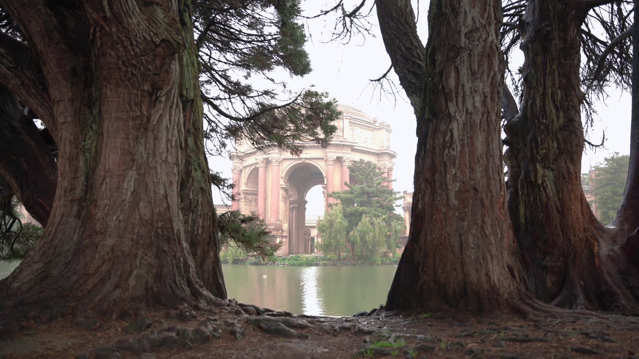 Il Palazzo delle Belle Arti tra due alberi.