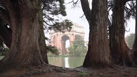 the palace of fine arts in between two trees