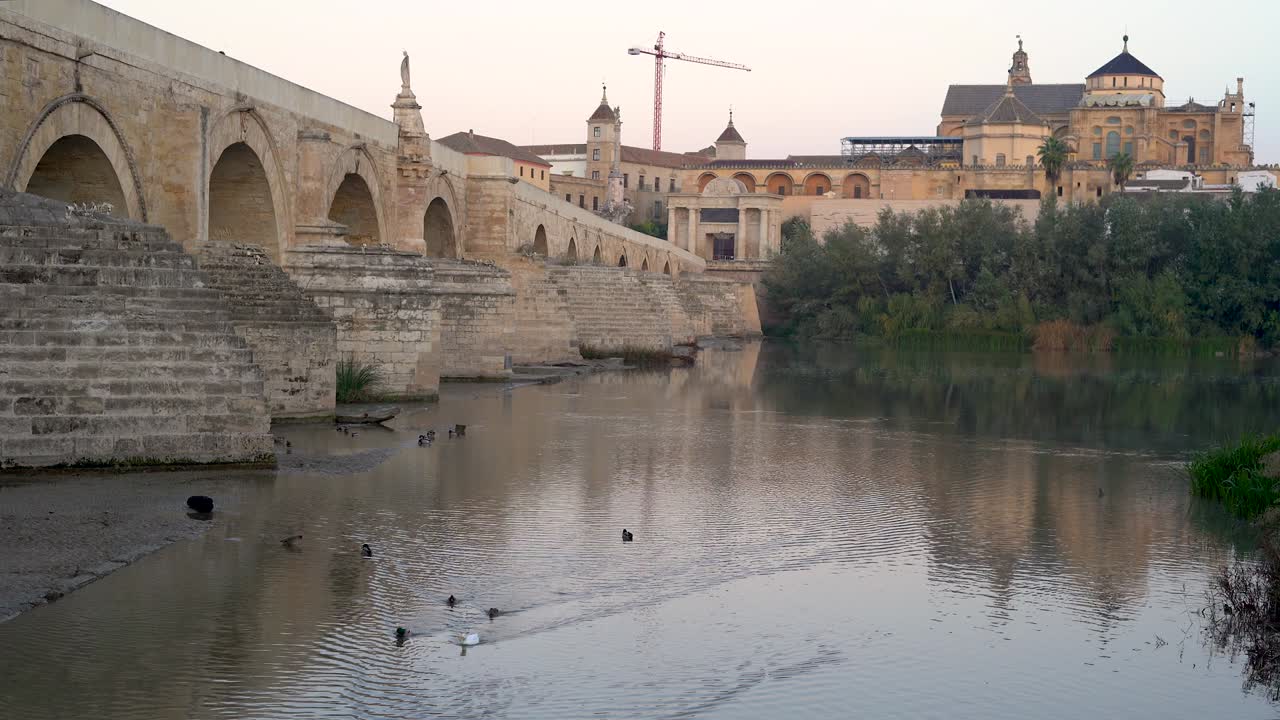 tranquilo amanecer en córdoba con el río guadalquivir lleno de patos y sus antiguos monumentos de gran belleza.