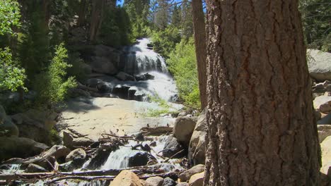 a moving shot past a tree to reveal a beautiful alpine waterfall