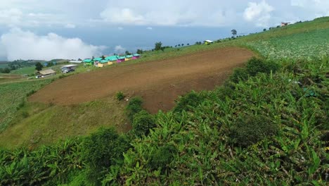 Imágenes-Escénicas-De-Drones-De-Una-Plantación-De-Repollo-Con-Clima-Brumoso-En-El-Fondo