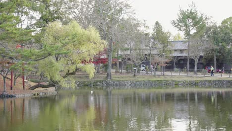 Japanischer-Teich-Im-Nara-Park-Vor-Dem-Todaiji-Tempel-Im-Herbst