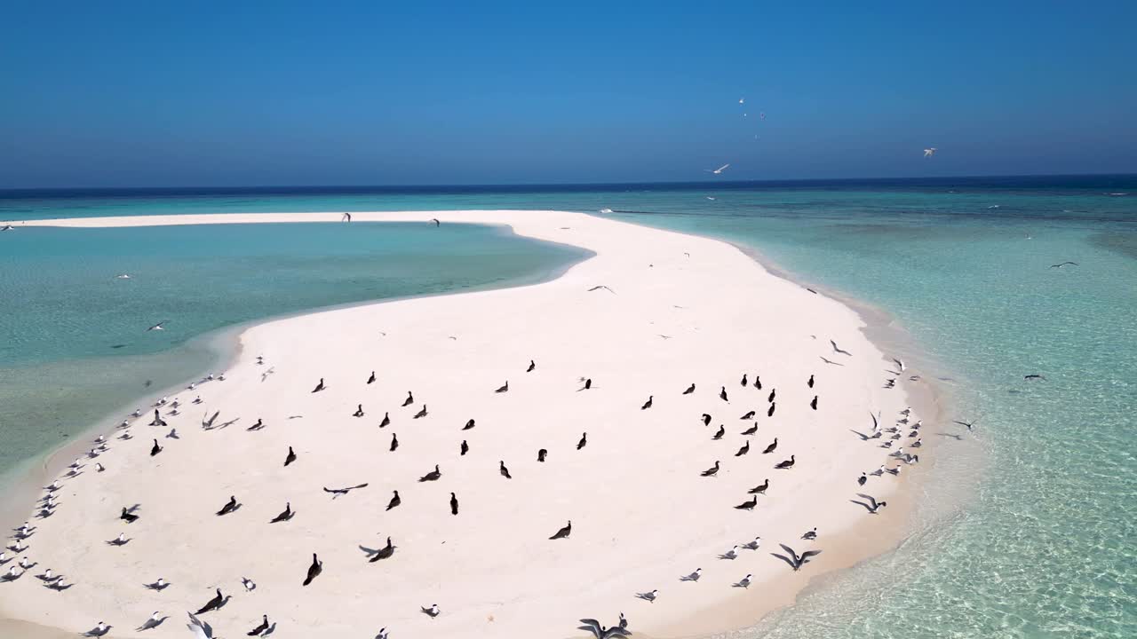 "Drone Footage, Saudi Arabia"
This breathtaking drone video showcases stunning landscapes in Saudi Arabia, capturing unique views of its natural beauty and cultural landmarks. Ideal for tourism.