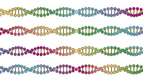 color visualization of dna analysis isolated on white background 3d rotation animation, for montage and medical training